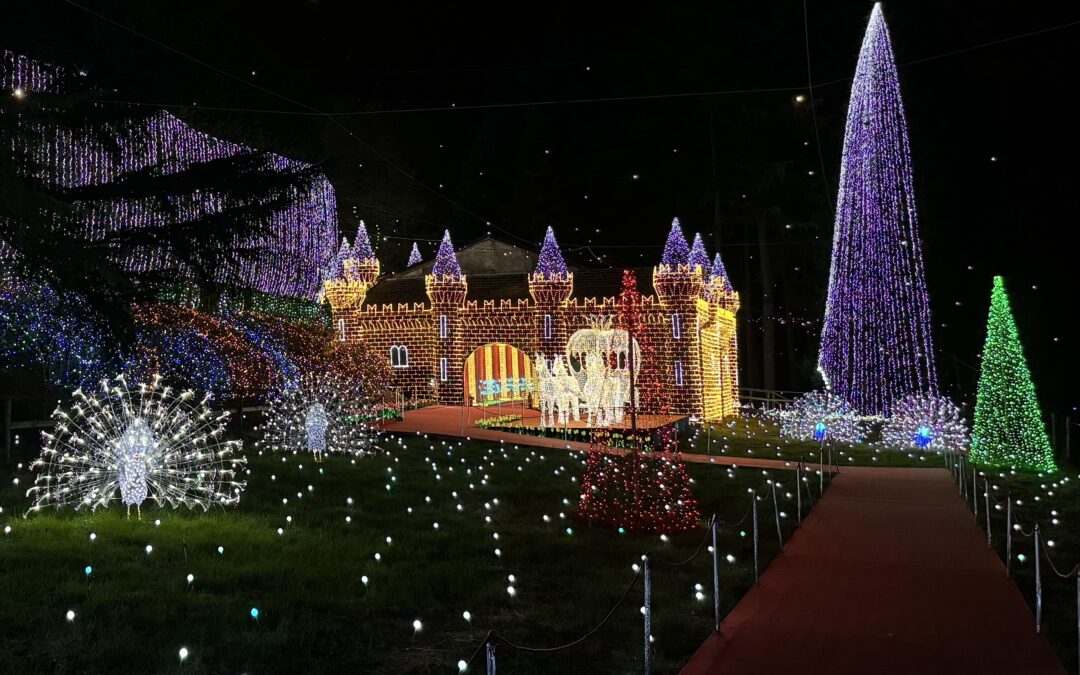 LUCINE DI LEGGIUNO: IL SUCCESSO DI UNA STRATEGIA DI COMUNICAZIONE PLURIENNALE